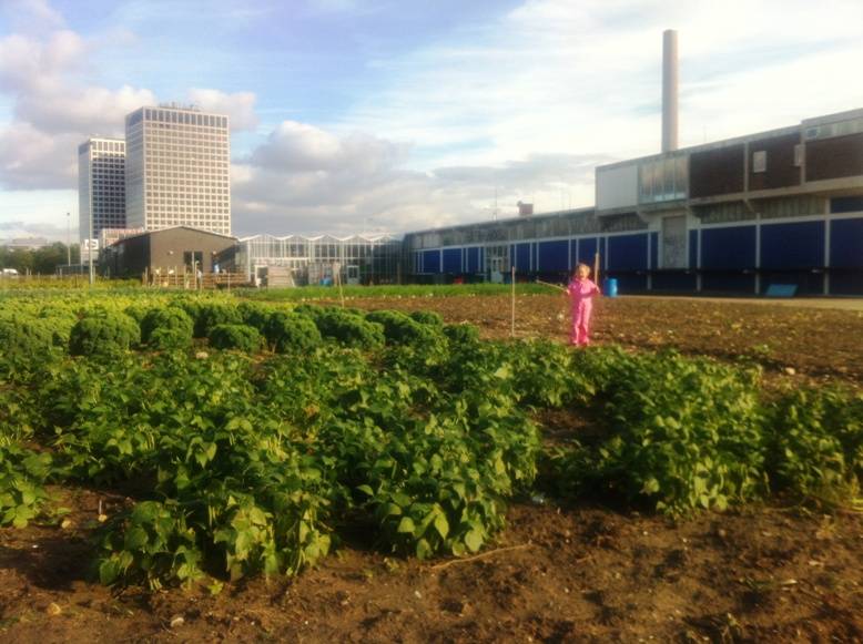 Uit je Eigen Stad, stadslandbouw in 010