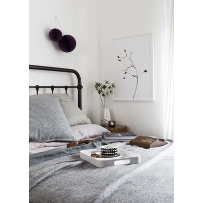 One must dash Poster A Rose is a rose is a rose 50x70
