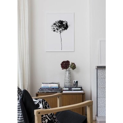 One must dash Poster Honey Honey 50x70