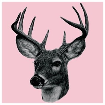 Tile Junkie Tegelsticker Deer