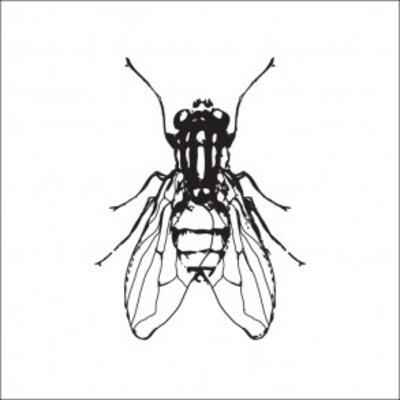 Tile Junkie Tegelsticker Fly