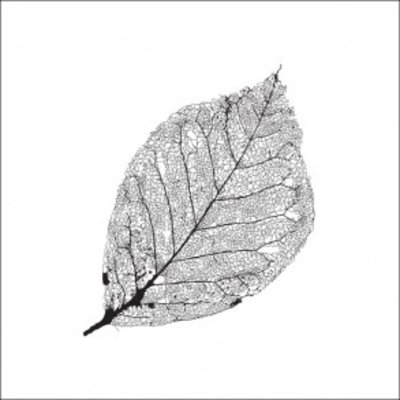 Tile Junkie Tegelsticker Leaf
