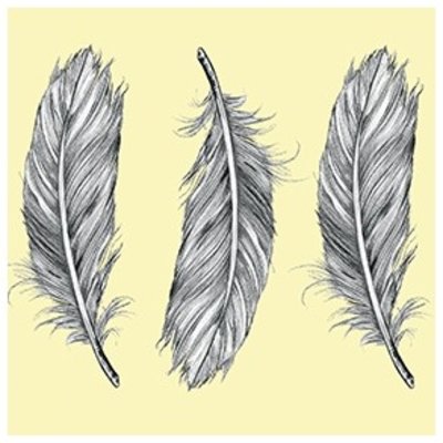 Tile Junkie Tegelsticker Feathers