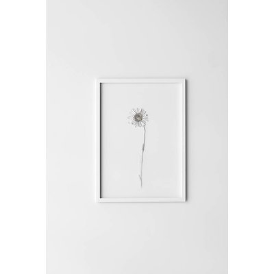 Moebe Frame A4 - wit
