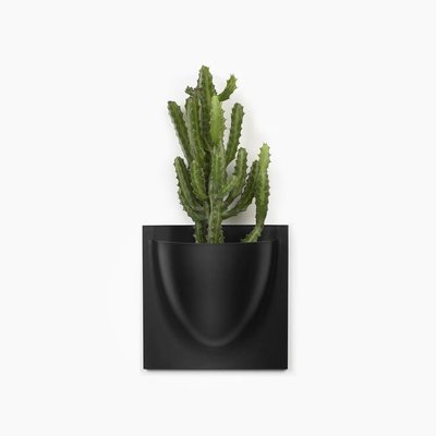 VertiPlants VertiPlant Zwart