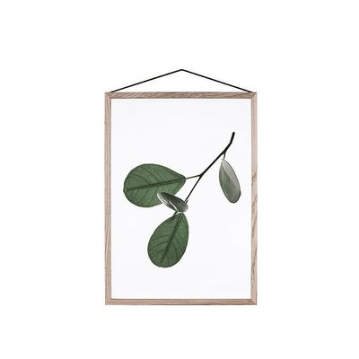 Moebe Floating Leaves No.5 - A4