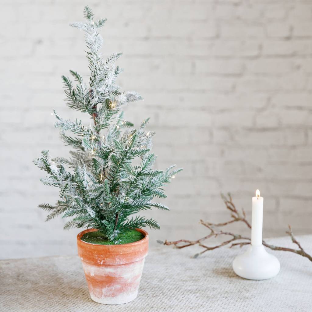 Zonder kerstboom, geen kerst!