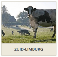 Zuid-Limburg-DownSouth