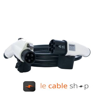 DOSTAR Câble de recharge véhicule électrique 32A Monophasé Type 2 - Type 1 (4 mètres)