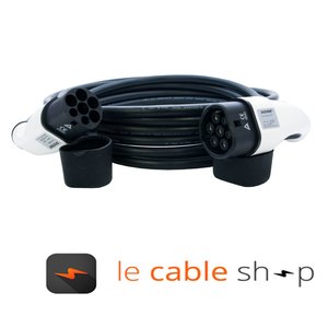 DOSTAR Câble de recharge véhicule électrique 32A Monophasé Type 2 - Type 2 (6 mètres)