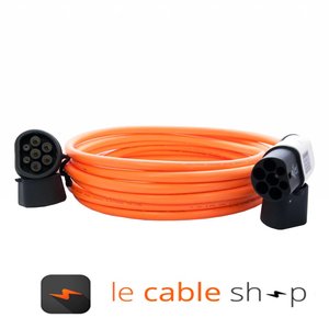 DOSTAR Câble de recharge véhicule électrique 16A Triphasé Type 2 - Type 2 (6 mètres)
