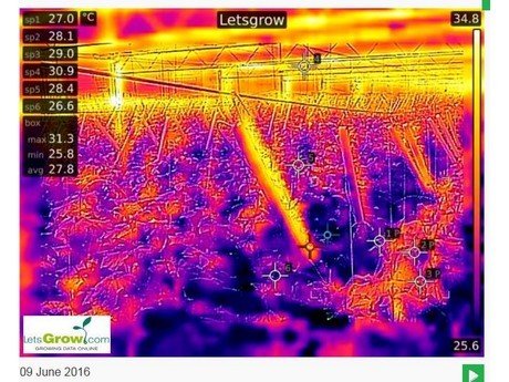 Thermocamera voor glastuinbouw