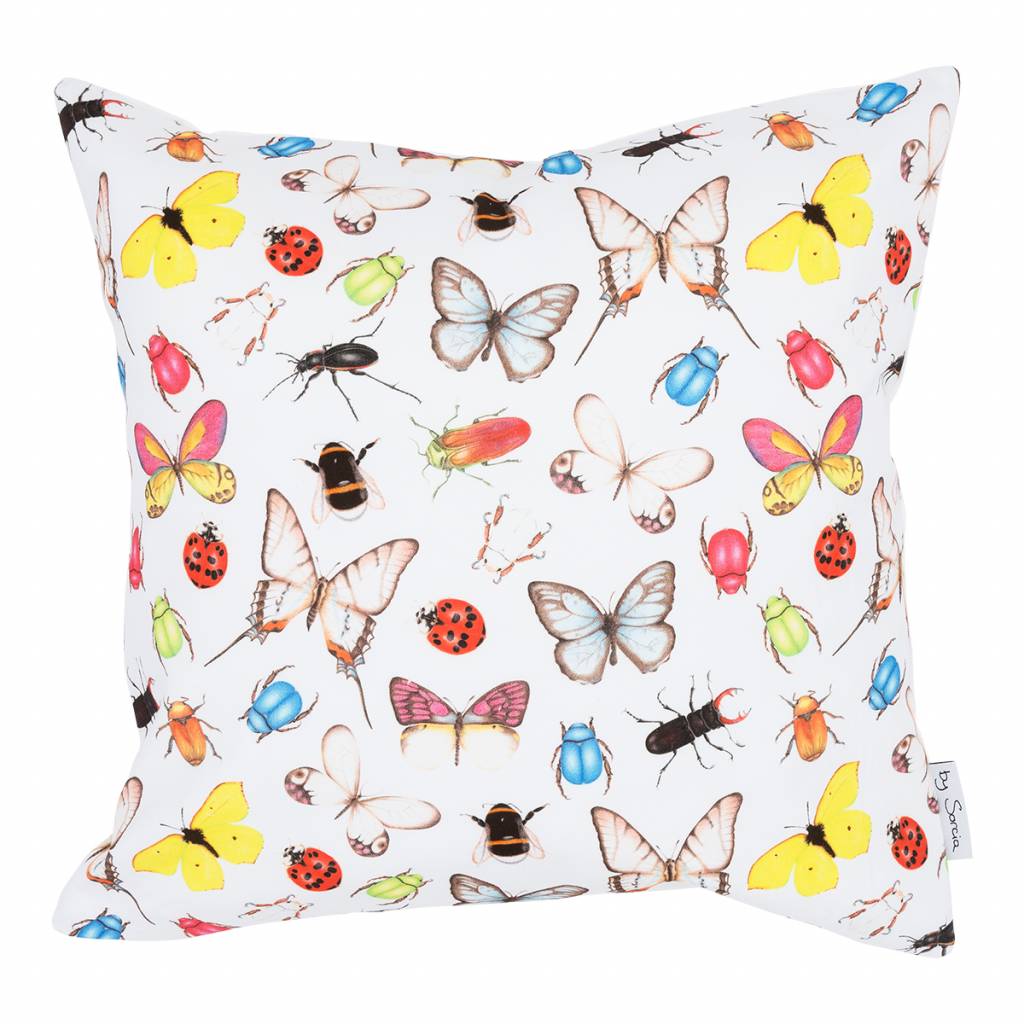 Insects & Butterflies