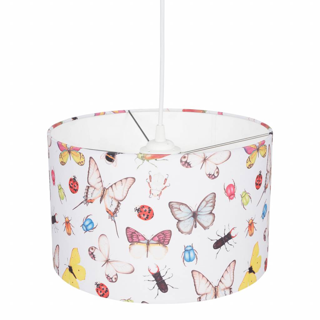 Insects & Butterflies