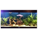 Aquarium LED verlichting