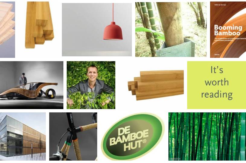 Booming Bamboo: voor al jouw bamboe inspiratie