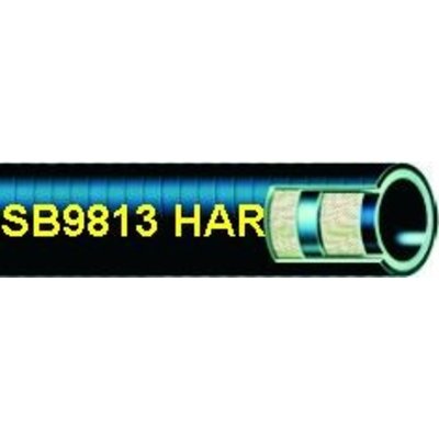 Straalgritslang SB9813
