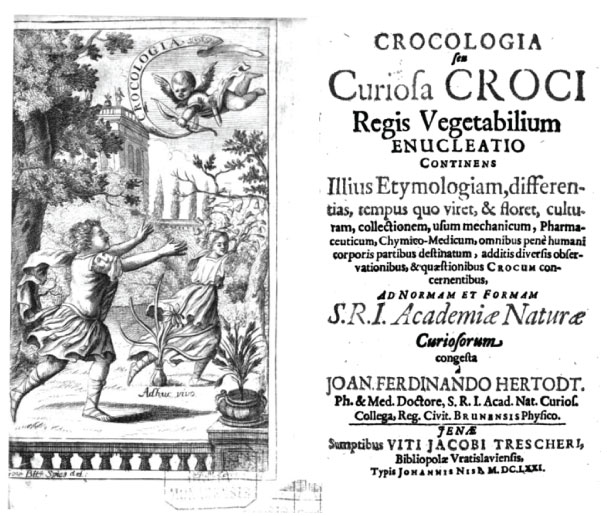 Crocologia, a book about saffron from the year 1671