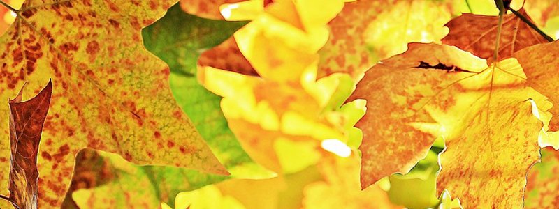Tassen trends van deze herfst en winter.