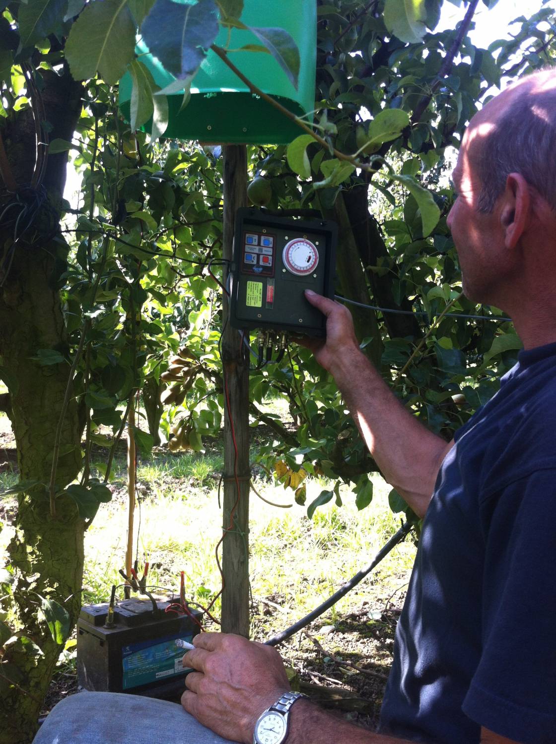 Vogelwering in boomteelt