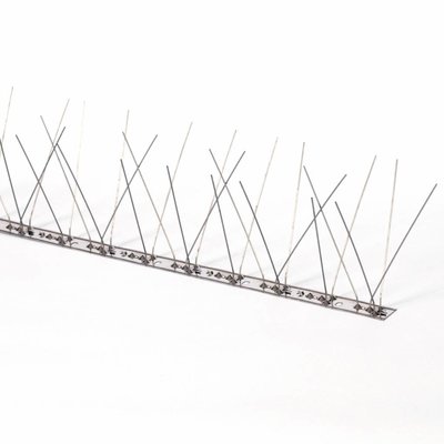 Anti-gull bird spikes on STAINLESS STEEL strip 1X 100 CM with 66 EXTRA LONG spikes, MIC313