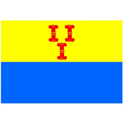 Vlag Barneveld Gemeentevlag