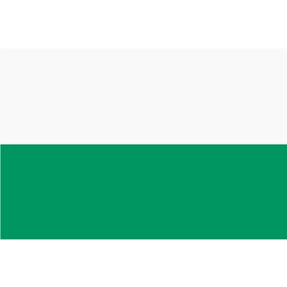 Vlag Aalten Gemeentevlag