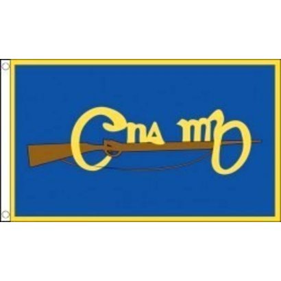 Vlag Cumann na mBan vlag