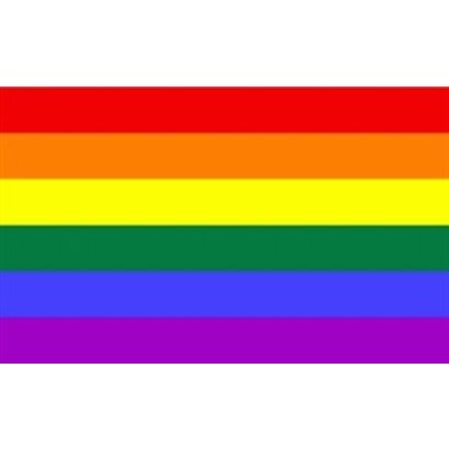 Vlag Regenboog vlag Rainbow beweging
