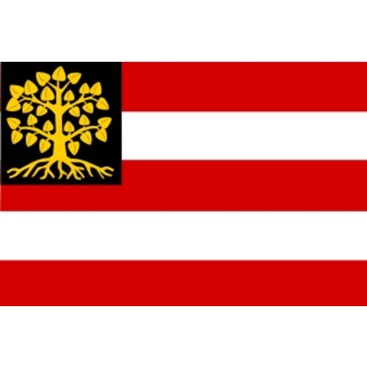 Vlag 's Hertogenbosch Den Bosch Gemeentevlag