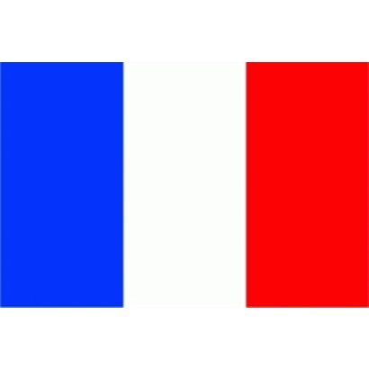 Vlag Frankrijk France 3 x 5m