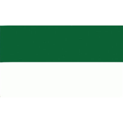 Vlag Mega grote Groen Witte vlag