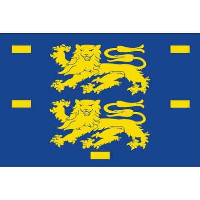 Vlag West Friesland vlag