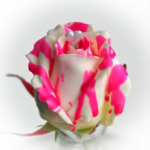 Rozen.nl Roseberry-love Rozen.nl Roseberry-love