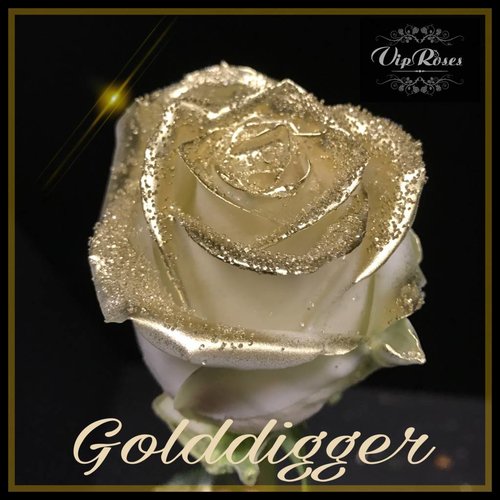 Rozen.nl Golddigger R-460 Rozen.nl Golddigger R-460