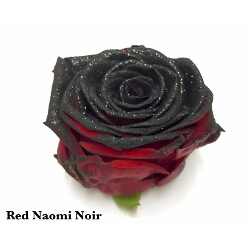 Rozen.nl Red Naomi+ glitter black Rozen.nl Red Naomi+ glitter black