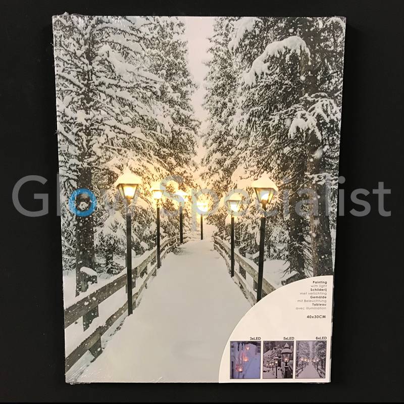 CANVAS SCHILDERIJ MET LED 40 X 30CM - 6 LED - koop je bij Glow ... CANVAS SCHILDERIJ MET LED 40 X 30CM - 6 LED - koop je bij Glow ...