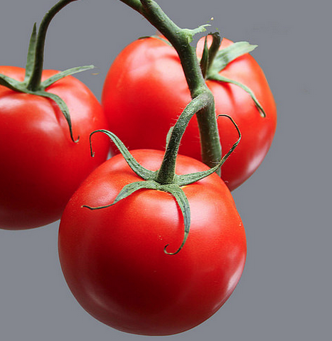 lycopeen tomato