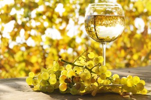 Tips voor de Chardonnay liefhebber