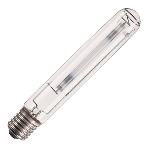 master son-t apia plus xtra 70w e27 - lamp belgie
