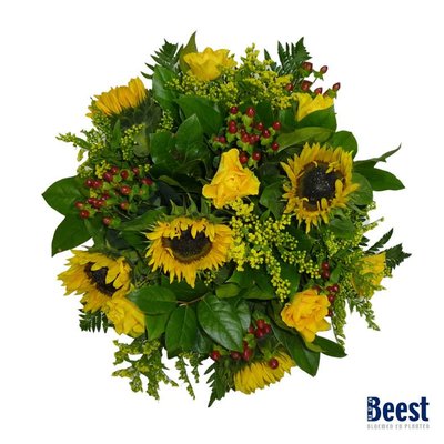 van beest bloemen en planten amersfoort bloemist van beest bloemen en planten van beest bloemen en planten amersfoort bloemist van beest bloemen en planten