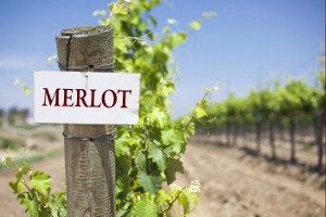 Het is internationale merlot dag vandaag!