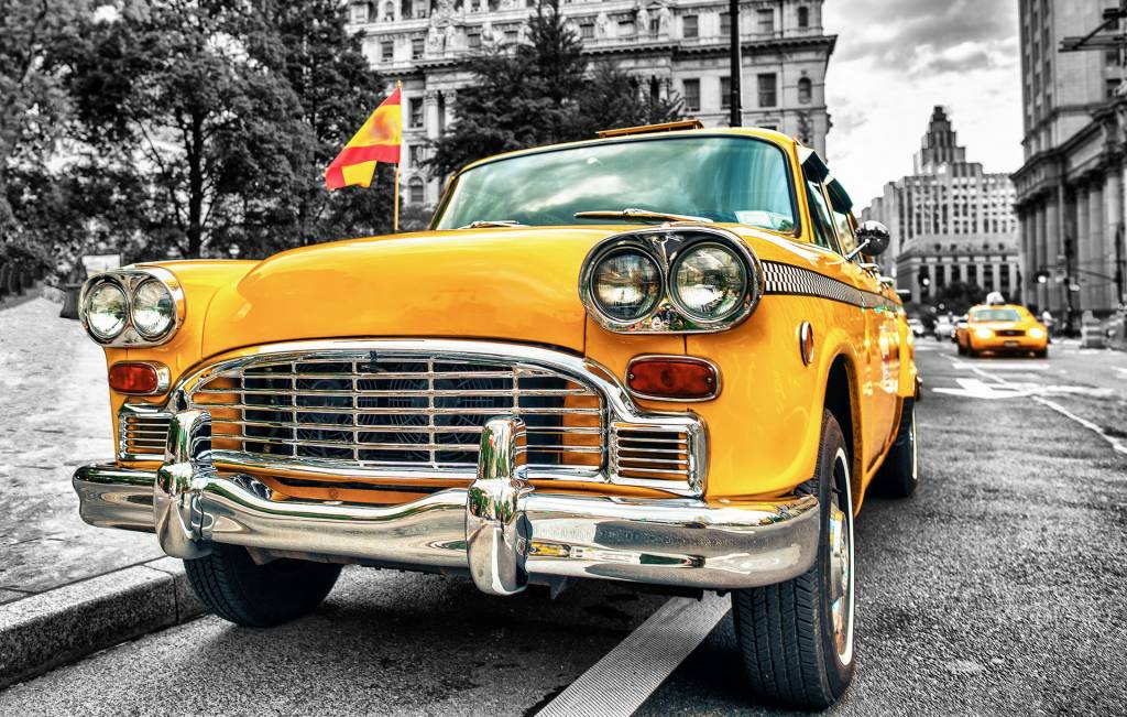 Taxi Expo 2017 in Houten