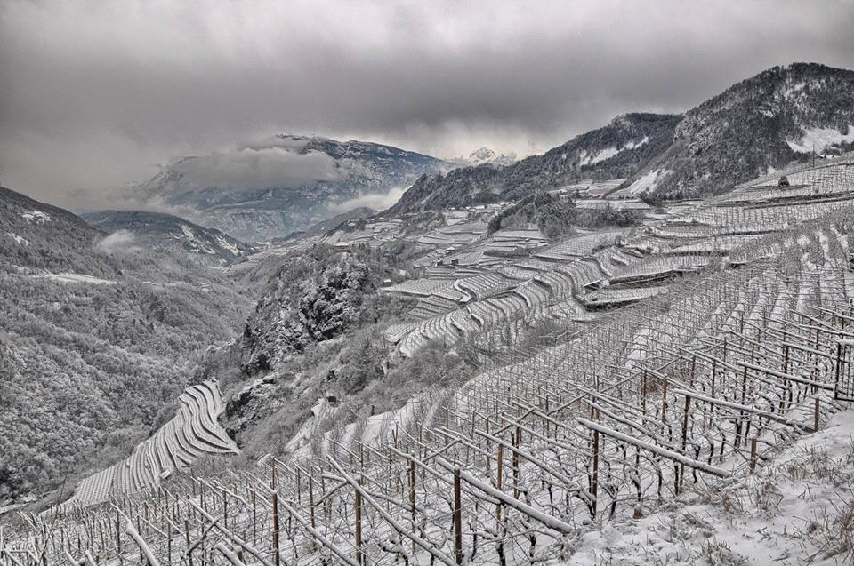 Wijnhuis Villa Corniole blog Trentino winter 