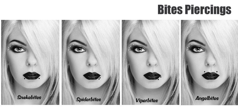 Snakebites - Spiderbites - Viperbites | Bites Piercing