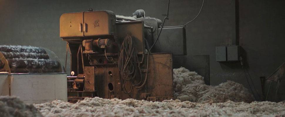 Let us introduce you to... Woolhunter