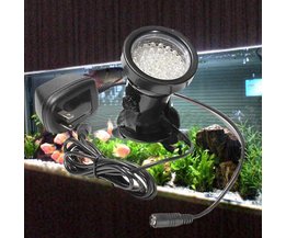Verlichting voor vijver, tuin en aquarium kopen? I MyXLshop (Tip) Verlichting voor vijver, tuin en aquarium kopen? I MyXLshop (Tip)