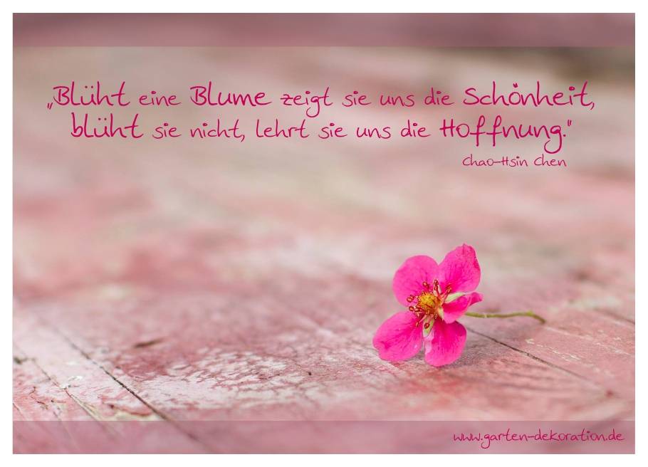 Postkarte "Blüht eine Blume zeigt sie uns ihre Schönheit" Gärten für