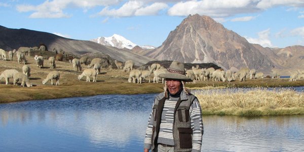 Fairtrade alpacawol uit de Andes