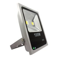 100 watt LED schijnwerper / LED bouwlamp